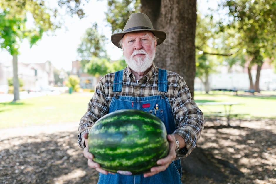  Prozentanteil Wassermelone